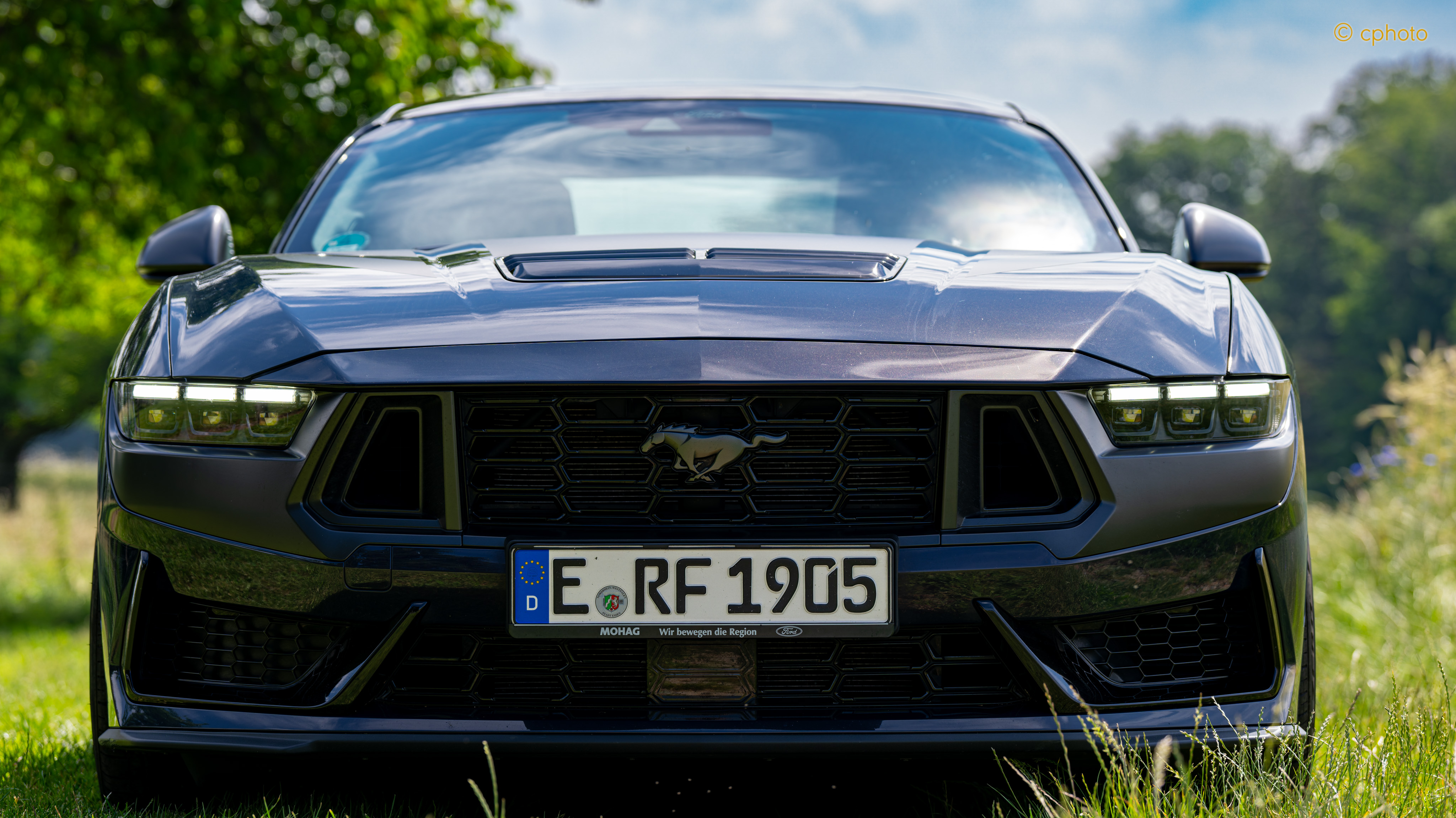 Dark Horse